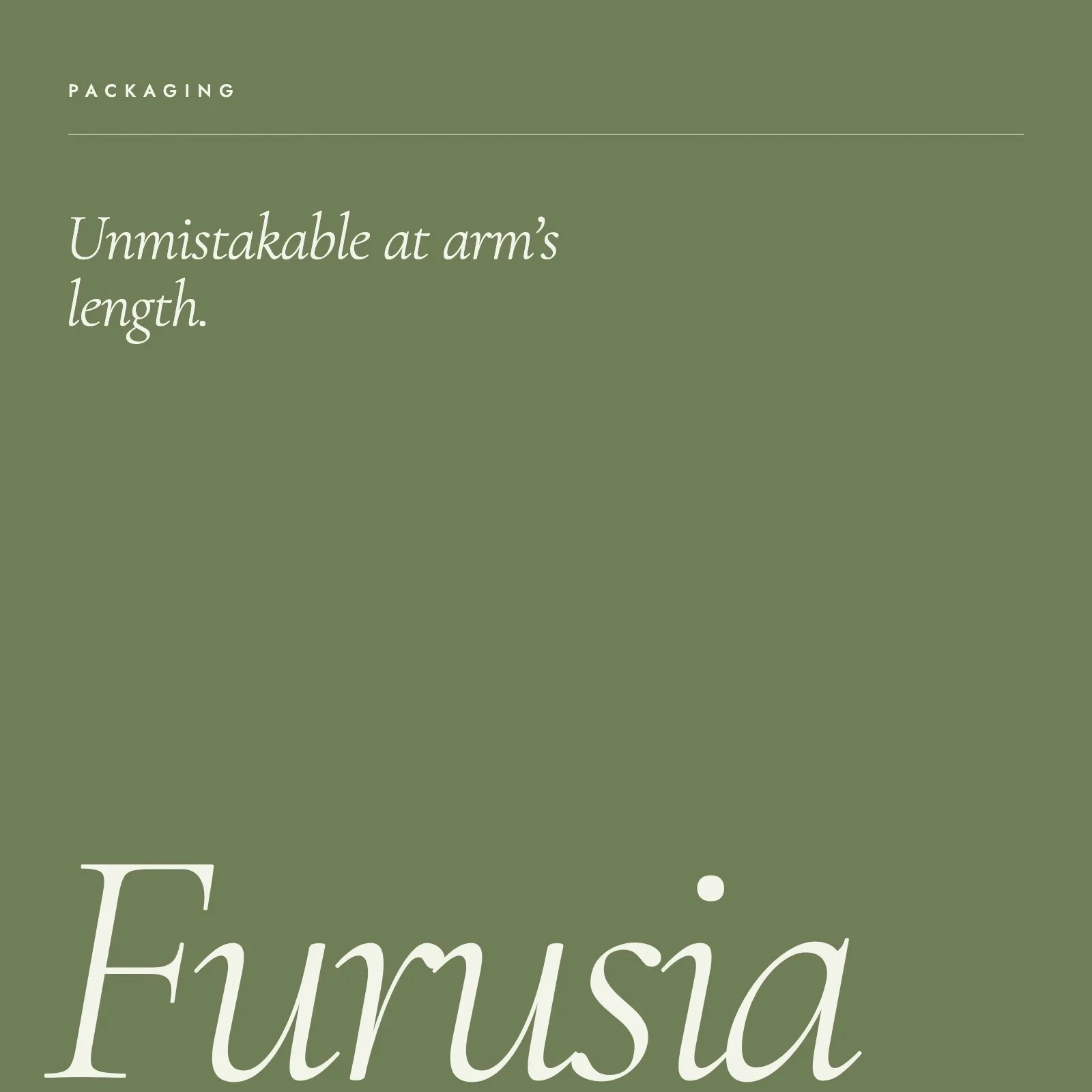 Furusia poster