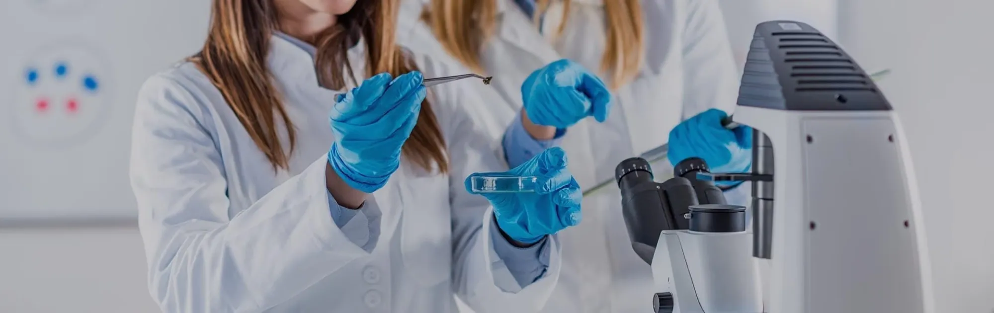 Lab technicians in blue gloves handling samples